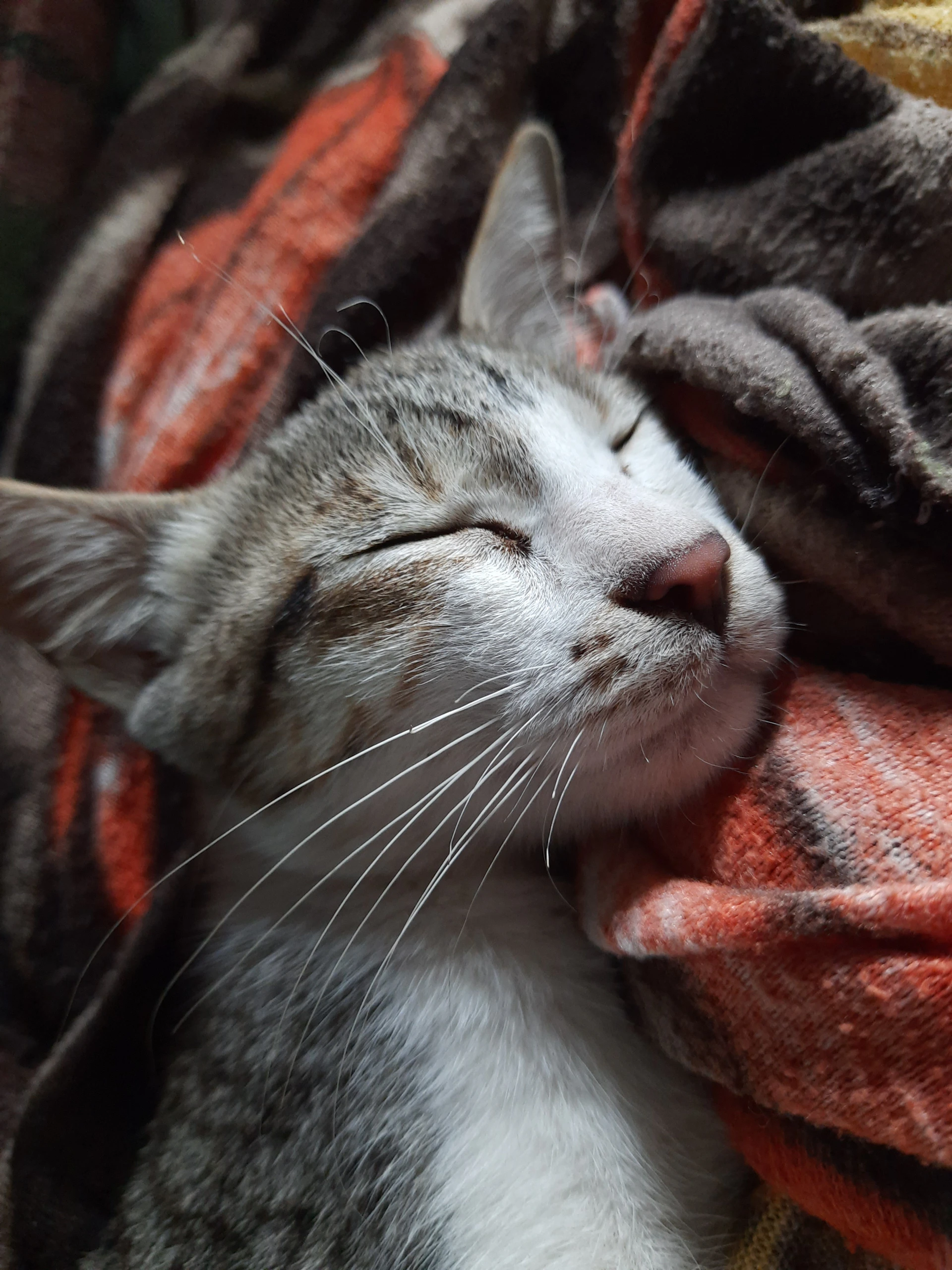 black and white bed linen