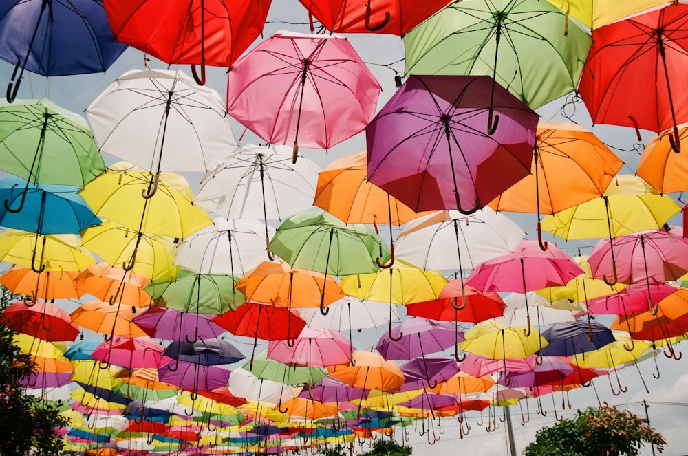 assorted umbrella hanging on wire during daytime