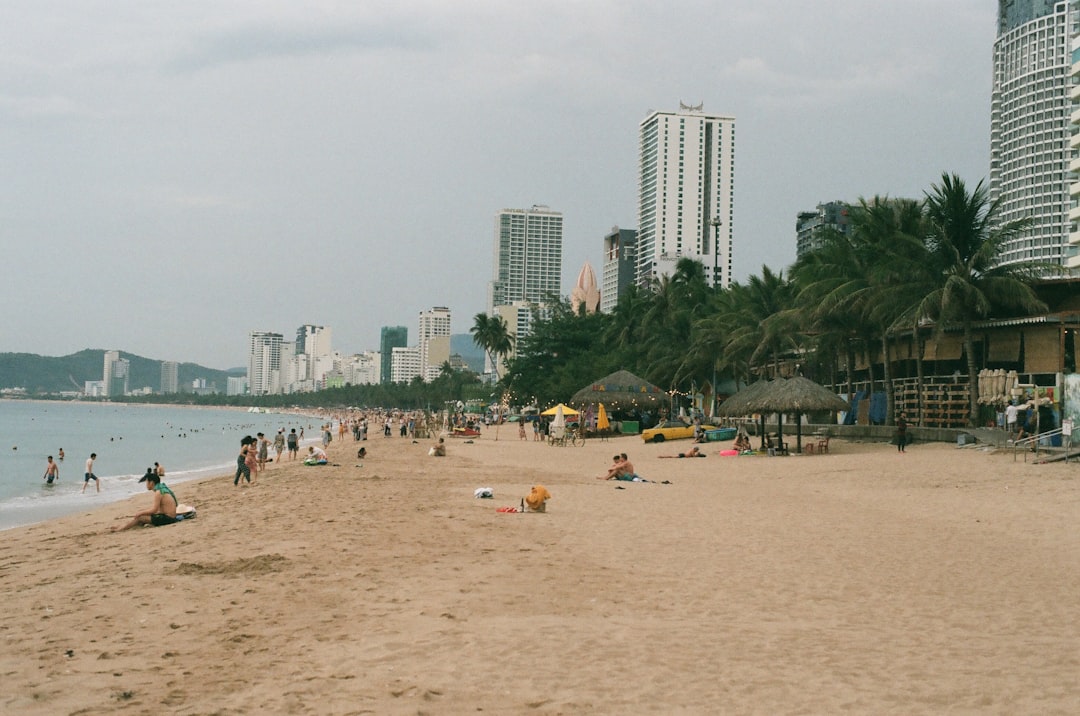 people on beach during daytime