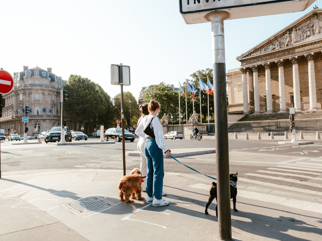 woman in white long sleeve shirt and blue denim jeans walking on sidewalk with brown dog