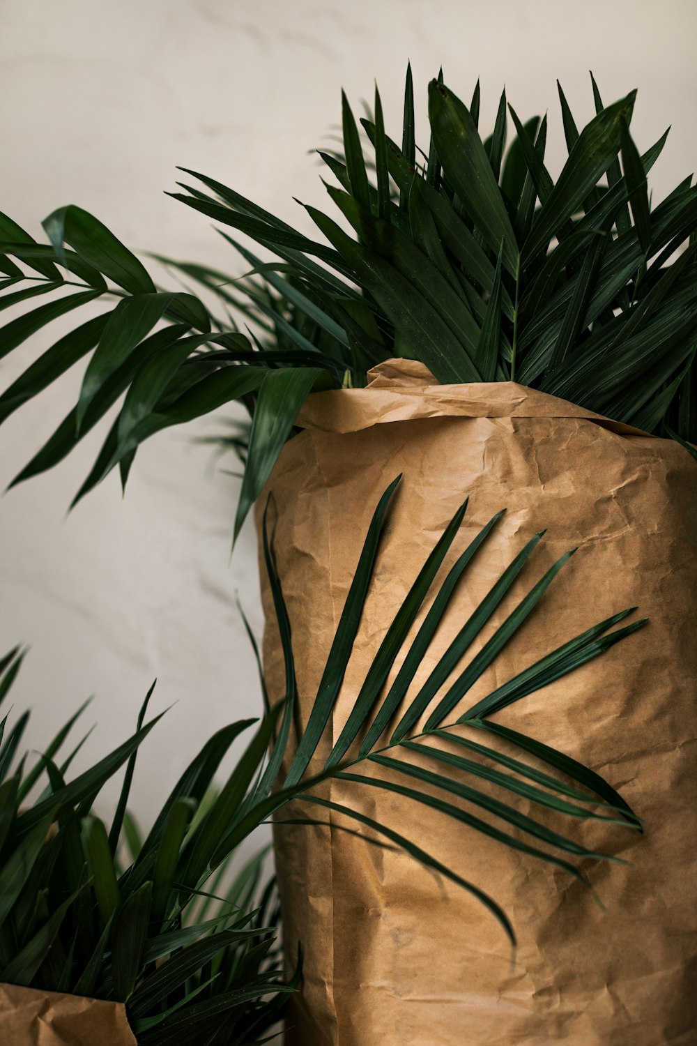 green plant beside brown textile