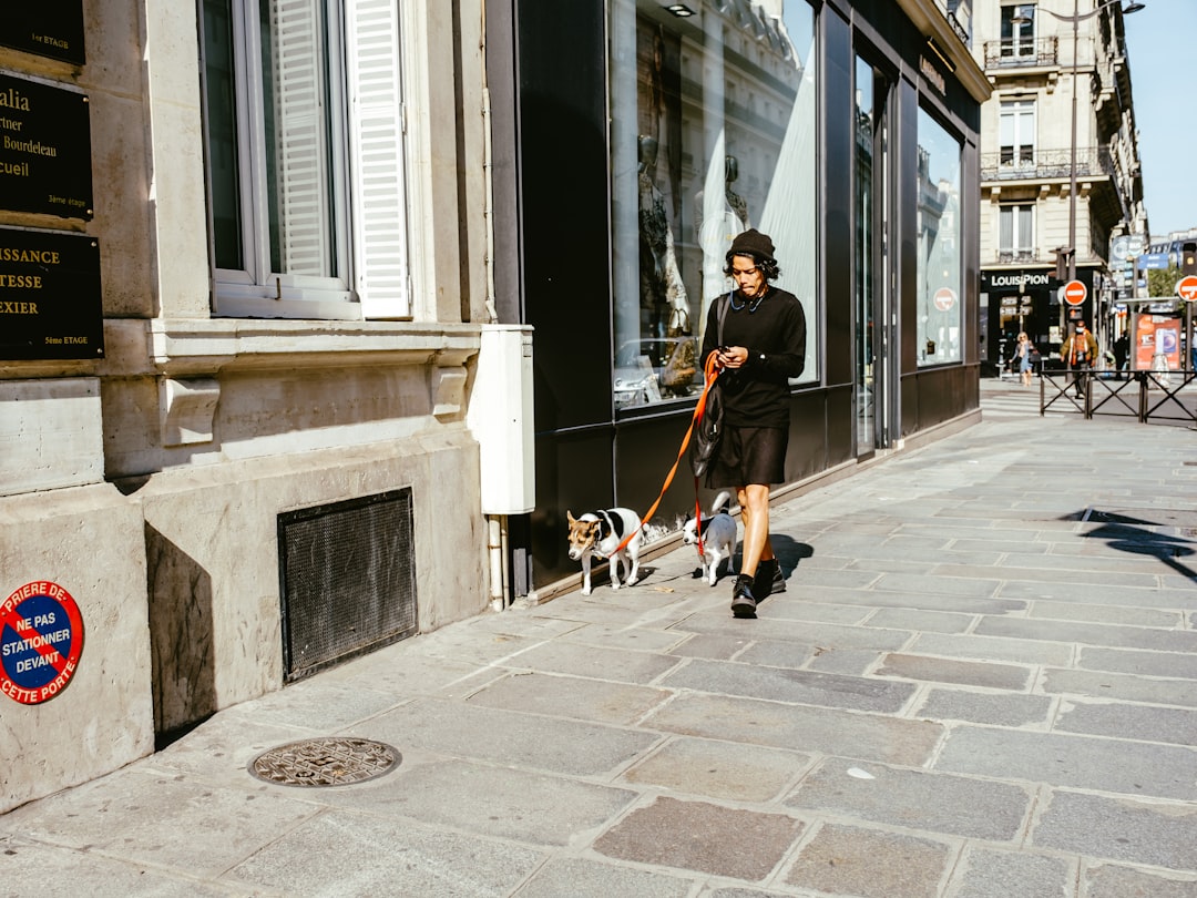 man in black jacket and black pants walking with dog on sidewalk during daytime