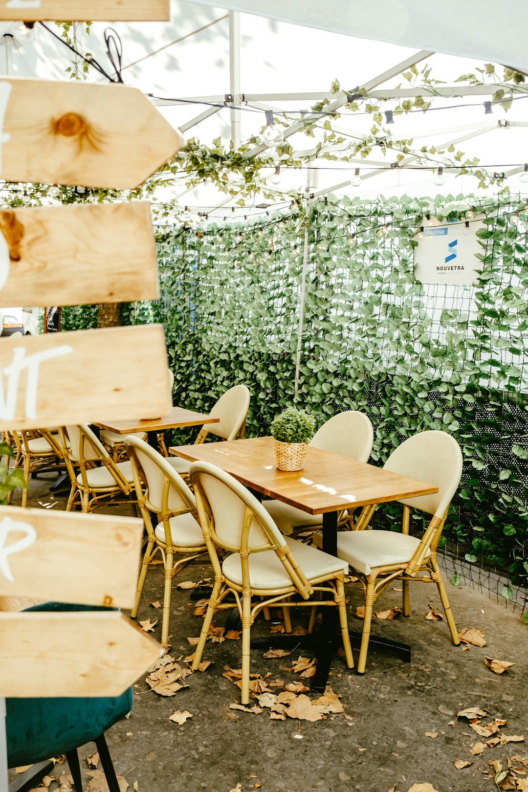 brown wooden chairs and tables