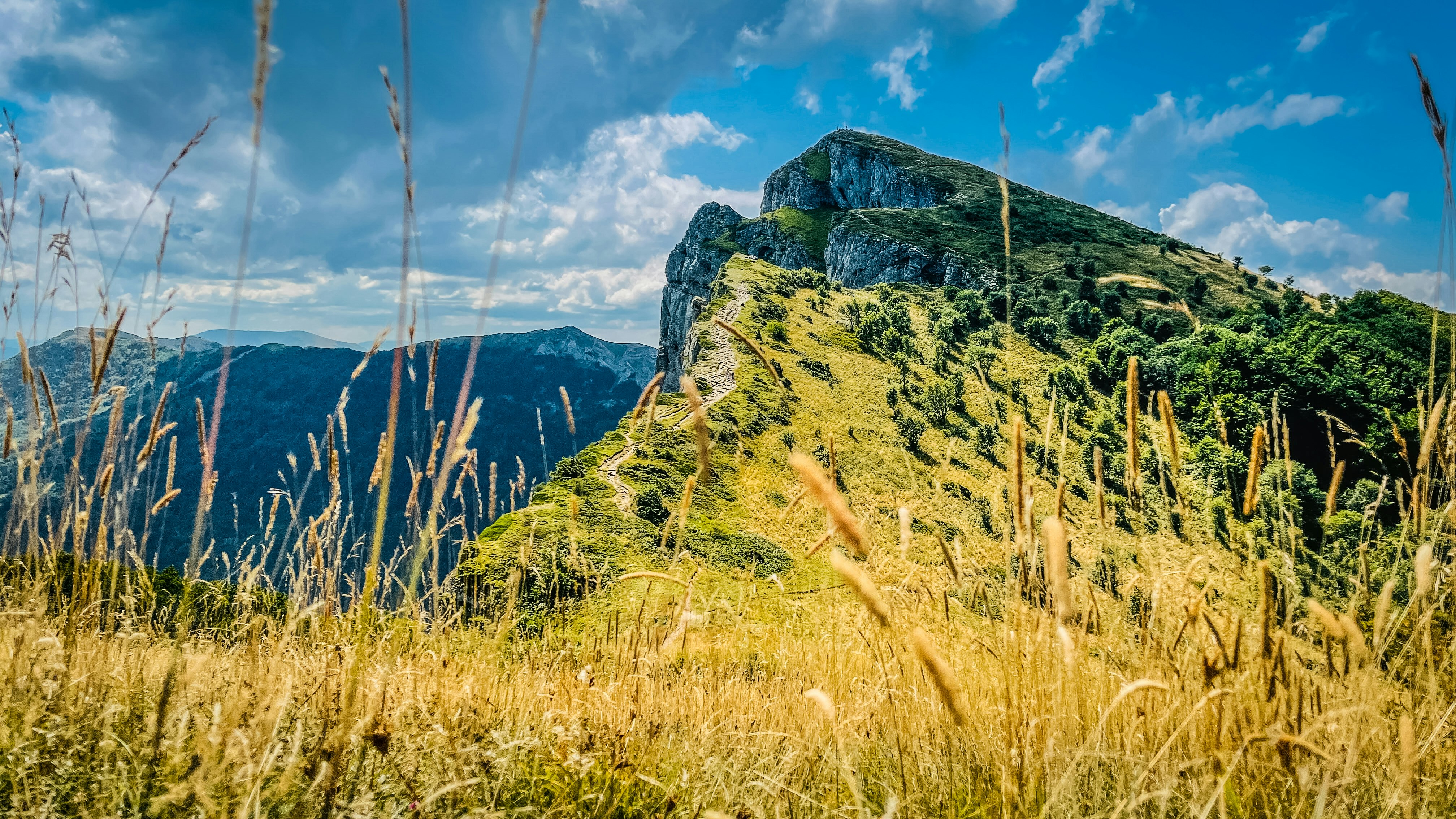 green grass on mountain under blue sky during daytime