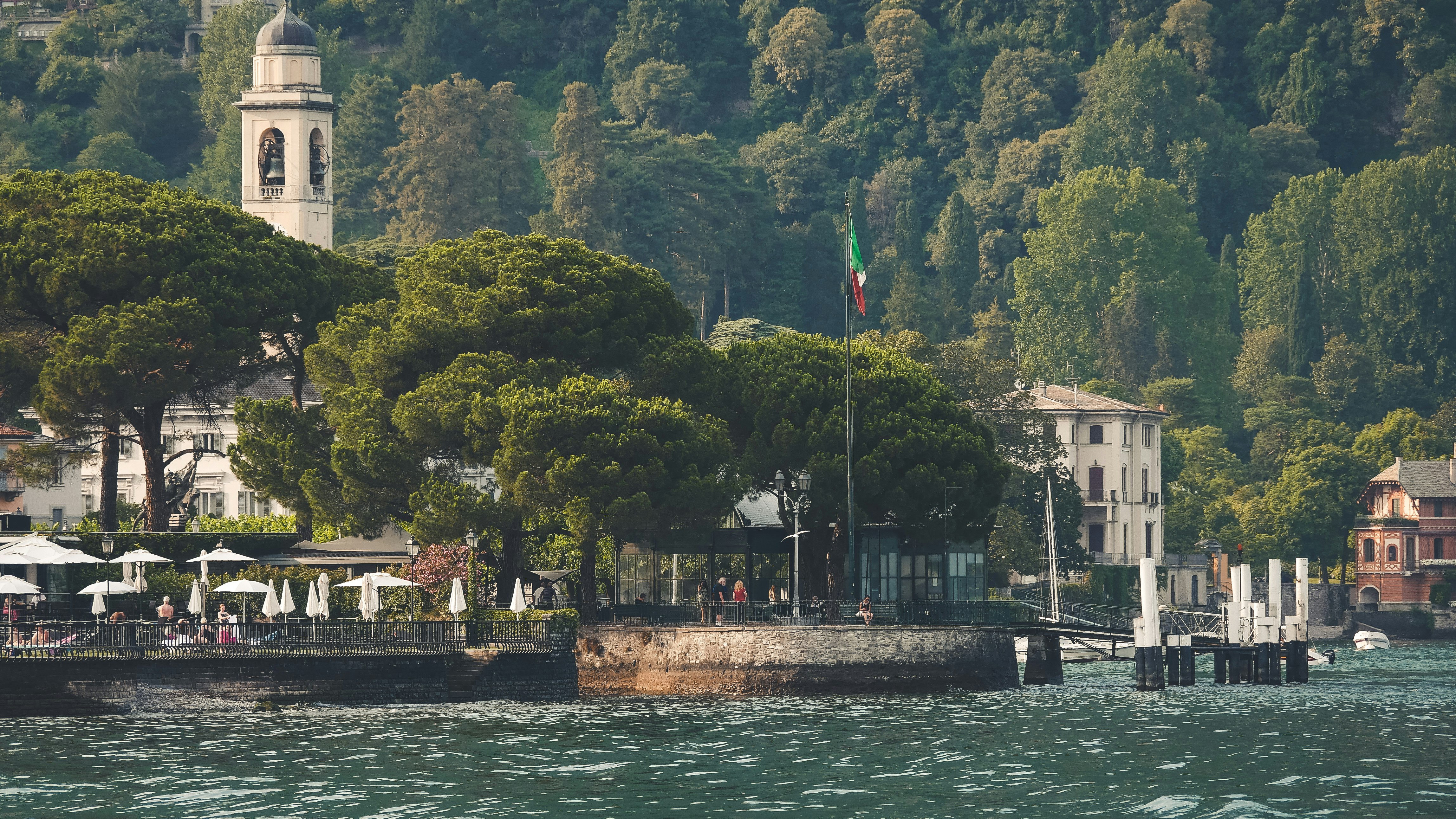 green trees near body of water during daytime