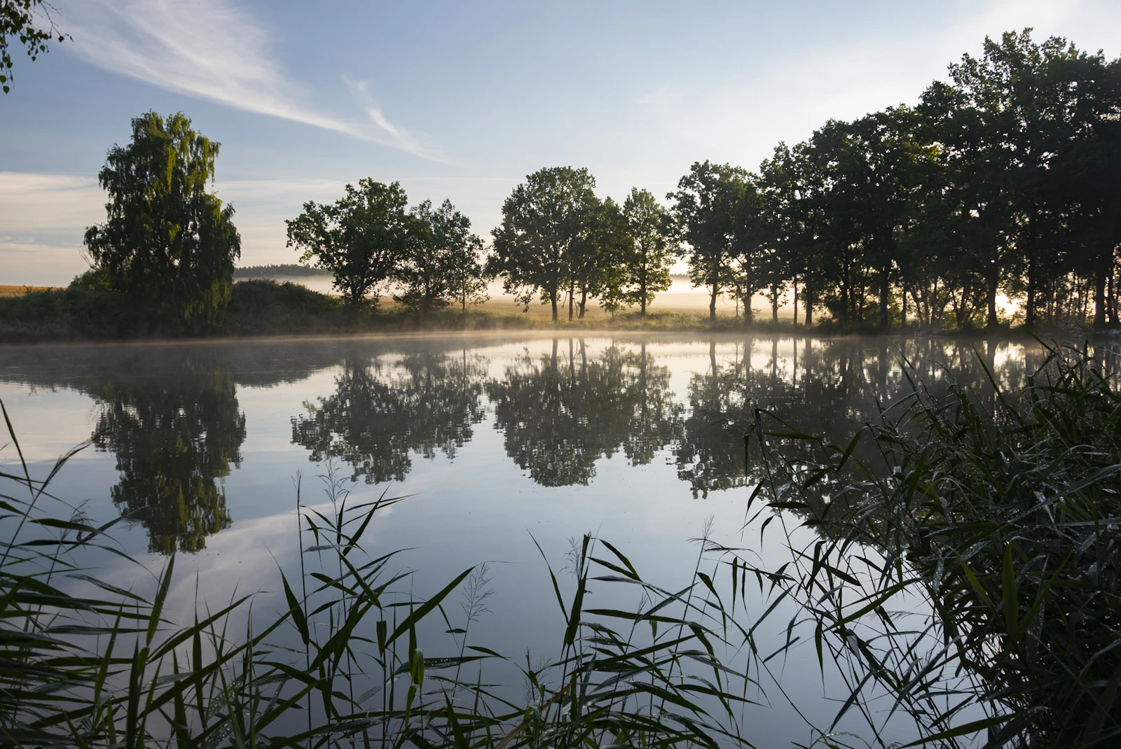 Sun rises over a still pond near Třeboň
