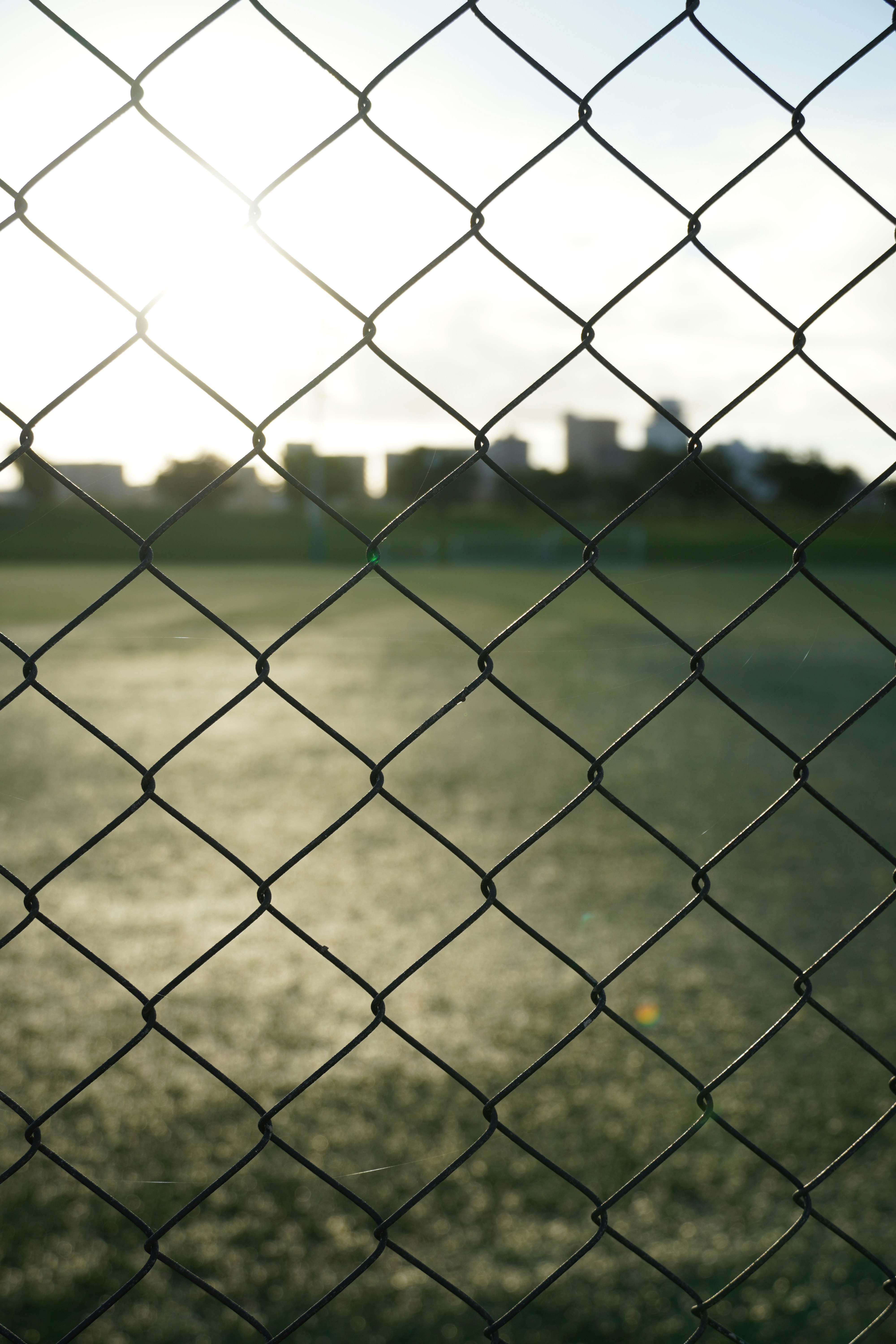 grey metal fence with green grass field