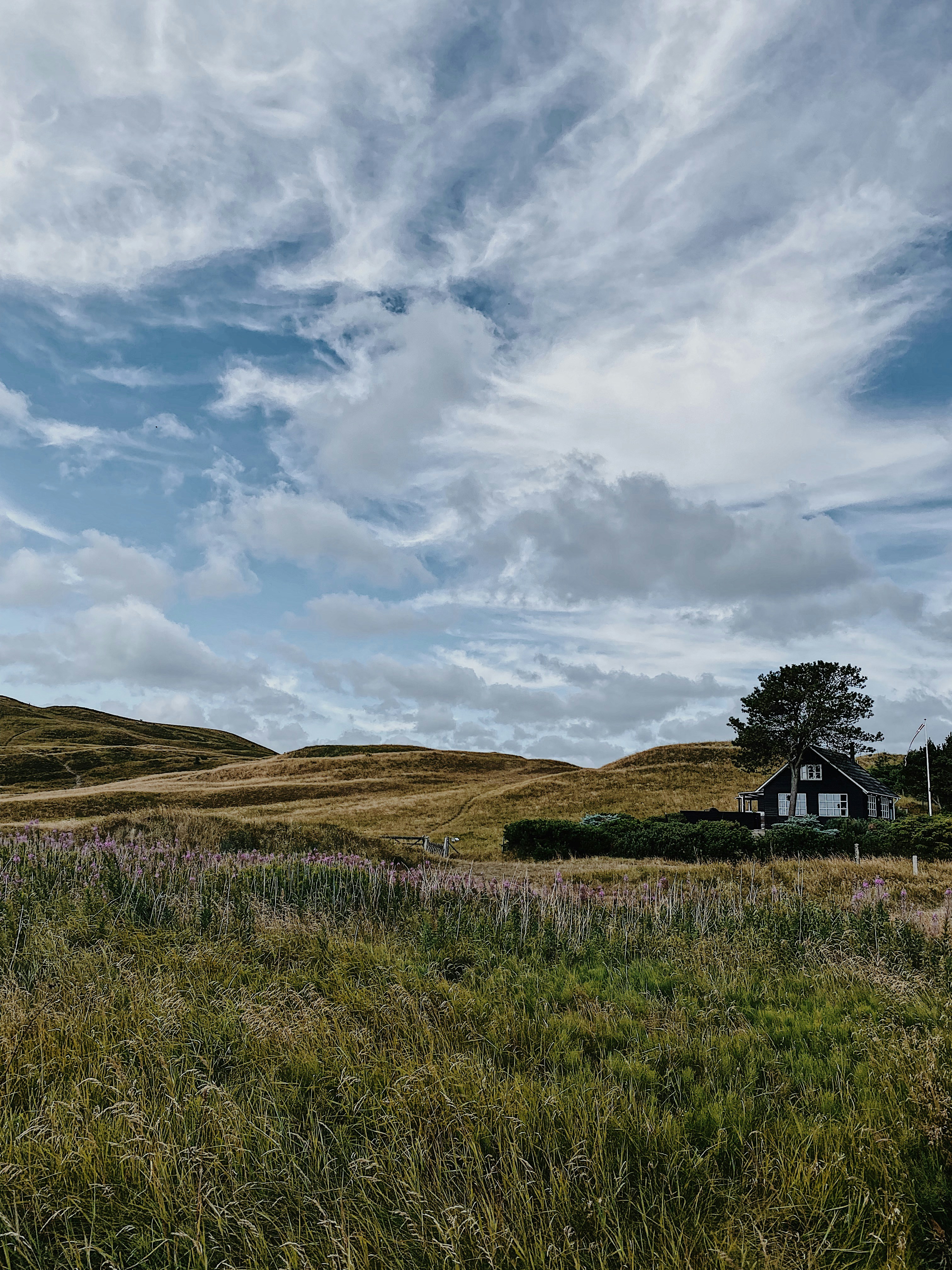 Photo by e_christensen