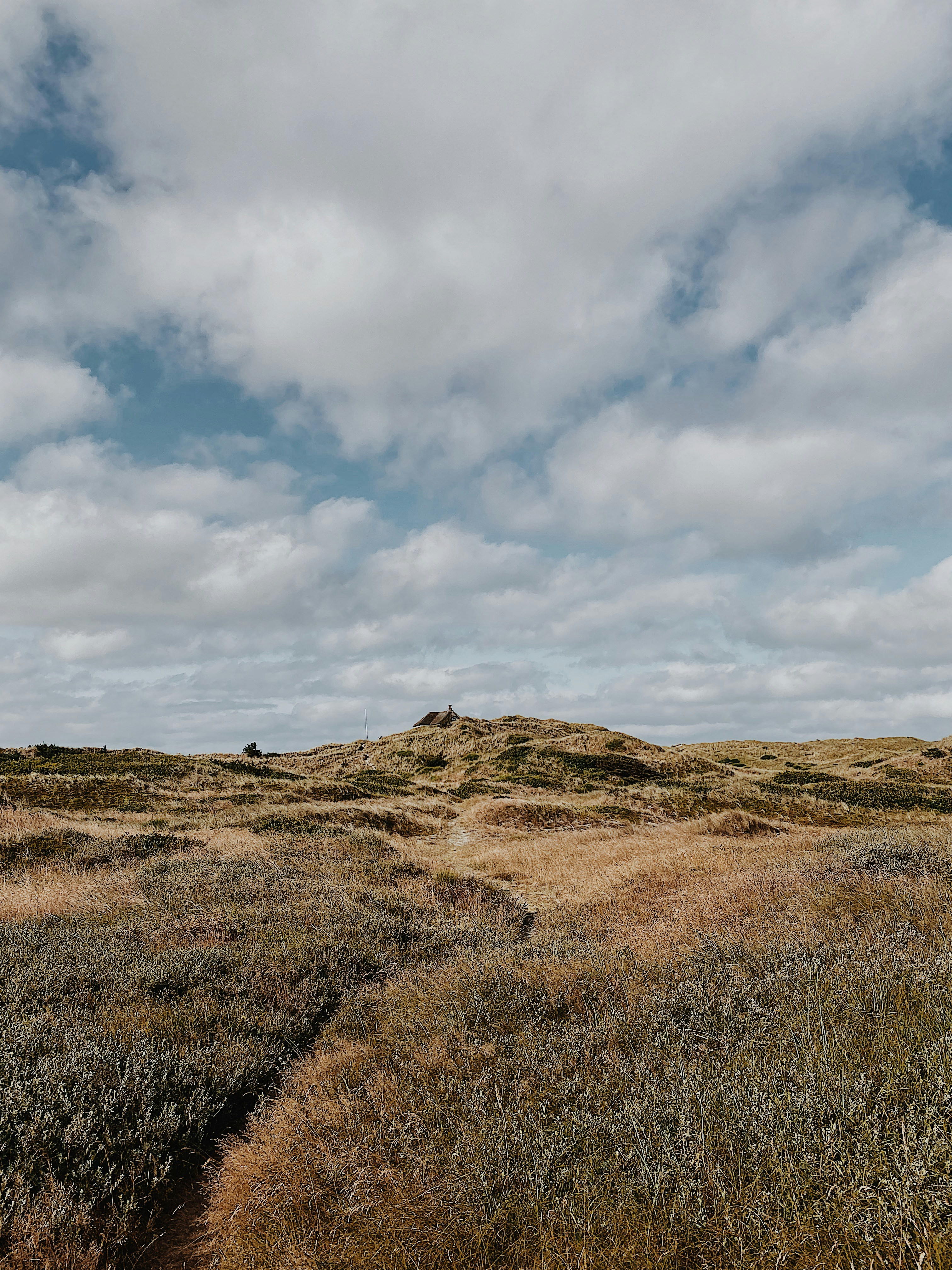 Photo by e_christensen