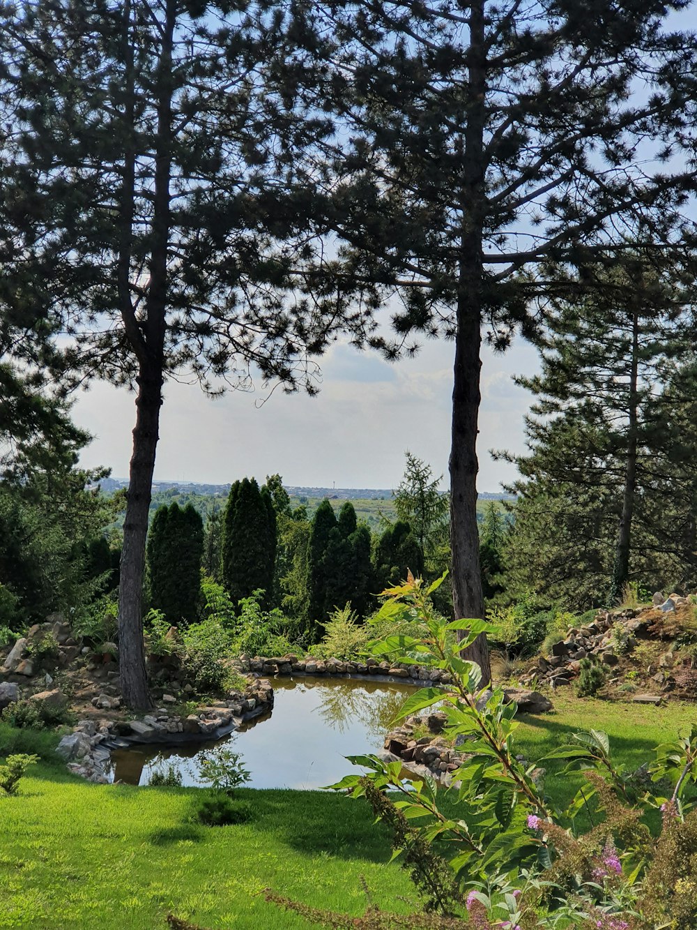 Grüne Bäume am Fluss während des Tages