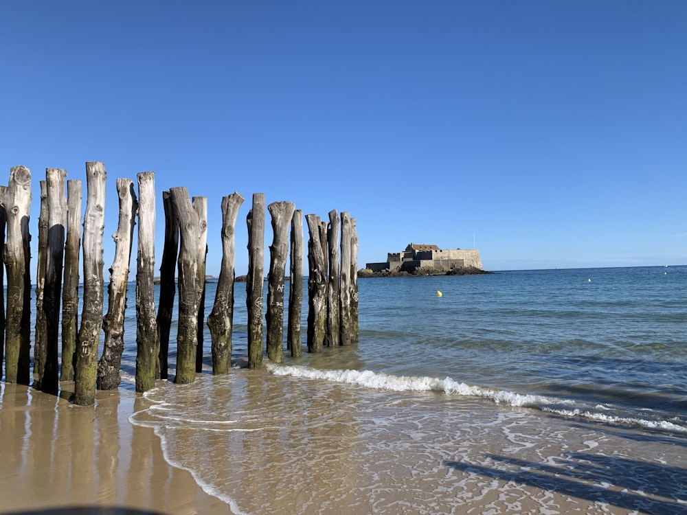 postes de madeira castanhos à beira-mar durante o dia