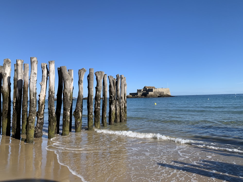 brown wooden posts on seashore during daytime