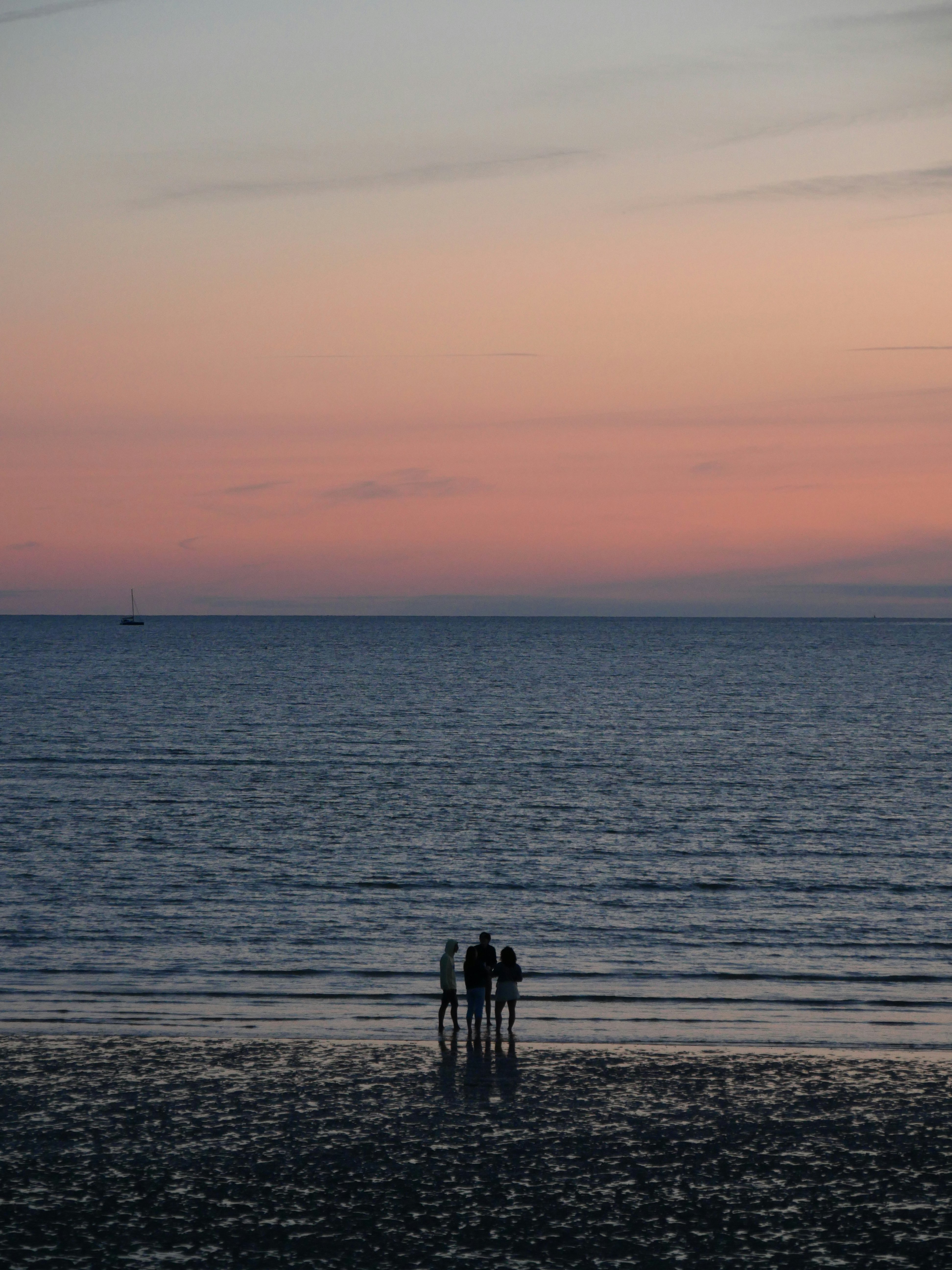 silhouette of 2 person standing on seashore during sunset