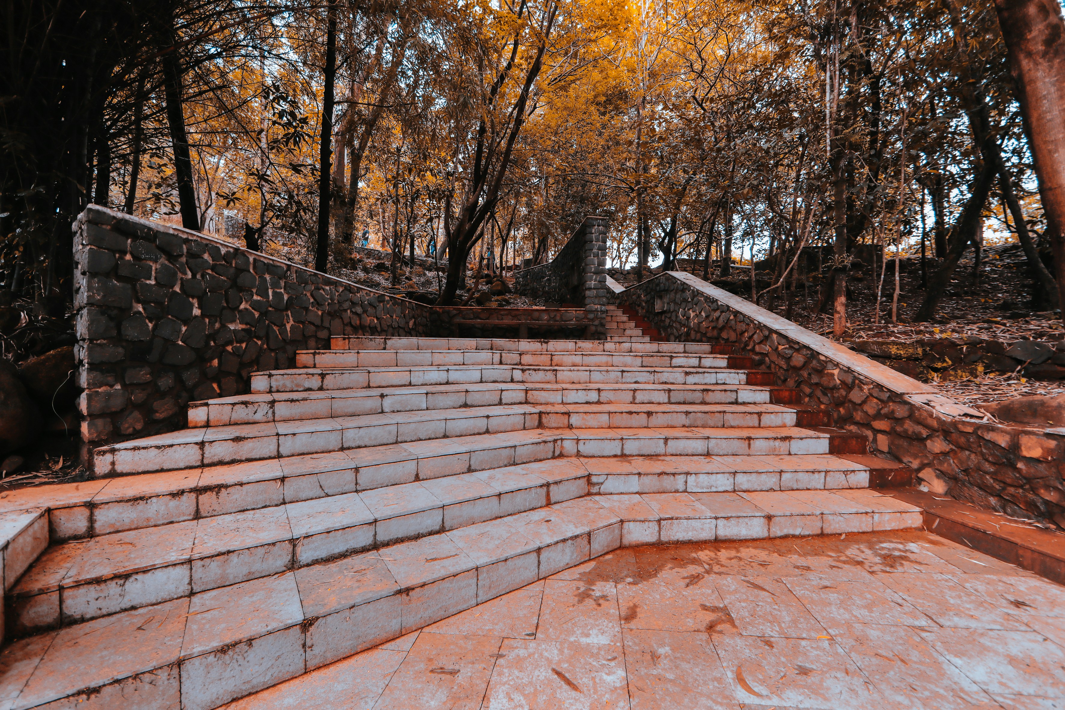 brown and gray brick pathway between trees