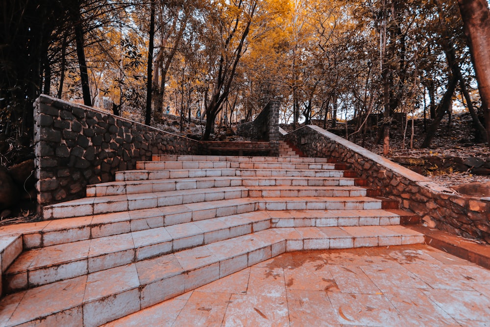 brown and gray brick pathway between trees