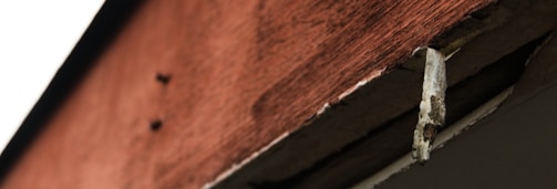 A close-up of a wooden structure shows a piece of decaying wood protruding from the edge. The wood appears weathered, with visible cracks and a warm reddish-brown hue. The background is blurred, emphasizing the focus on the deteriorating area.
