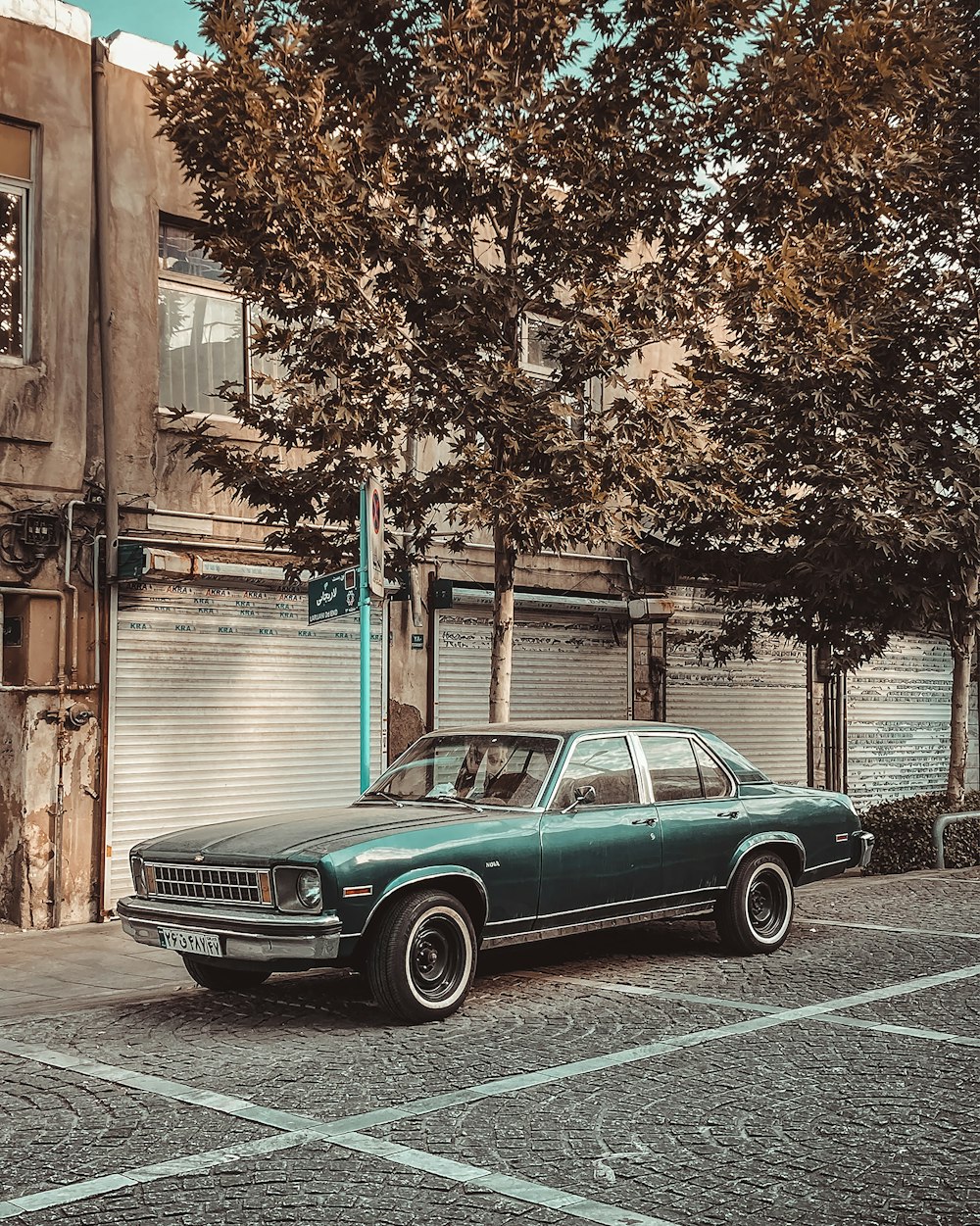 green car parked beside tree during daytime