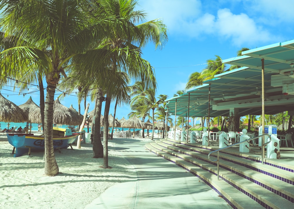 green palm trees near white and blue building during daytime