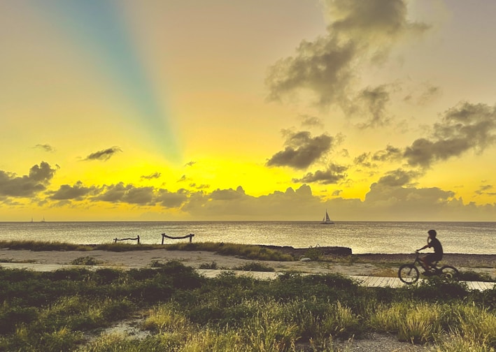 black bicycle on green grass field near sea during daytime