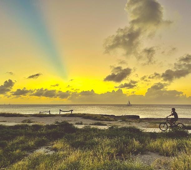 black bicycle on green grass field near sea during daytime