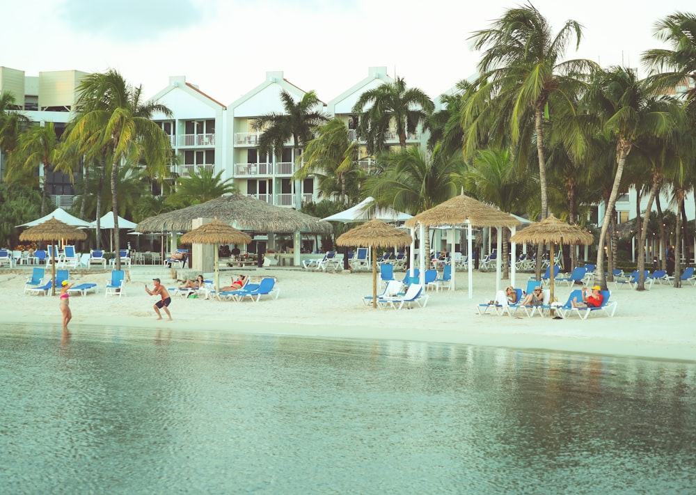 people on beach during daytime