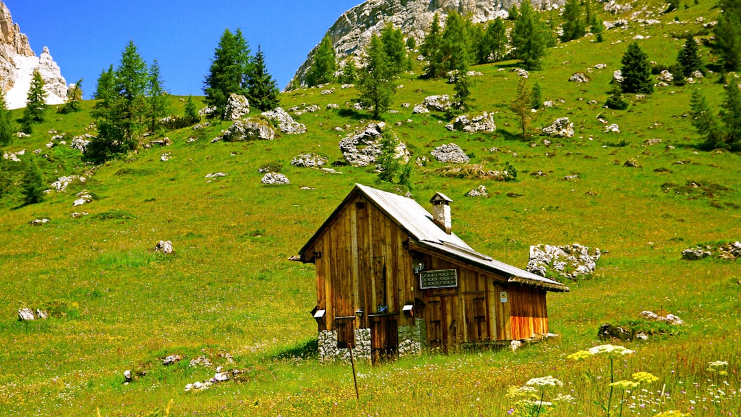 brown wooden house on green grass field near green trees and mountains during daytime