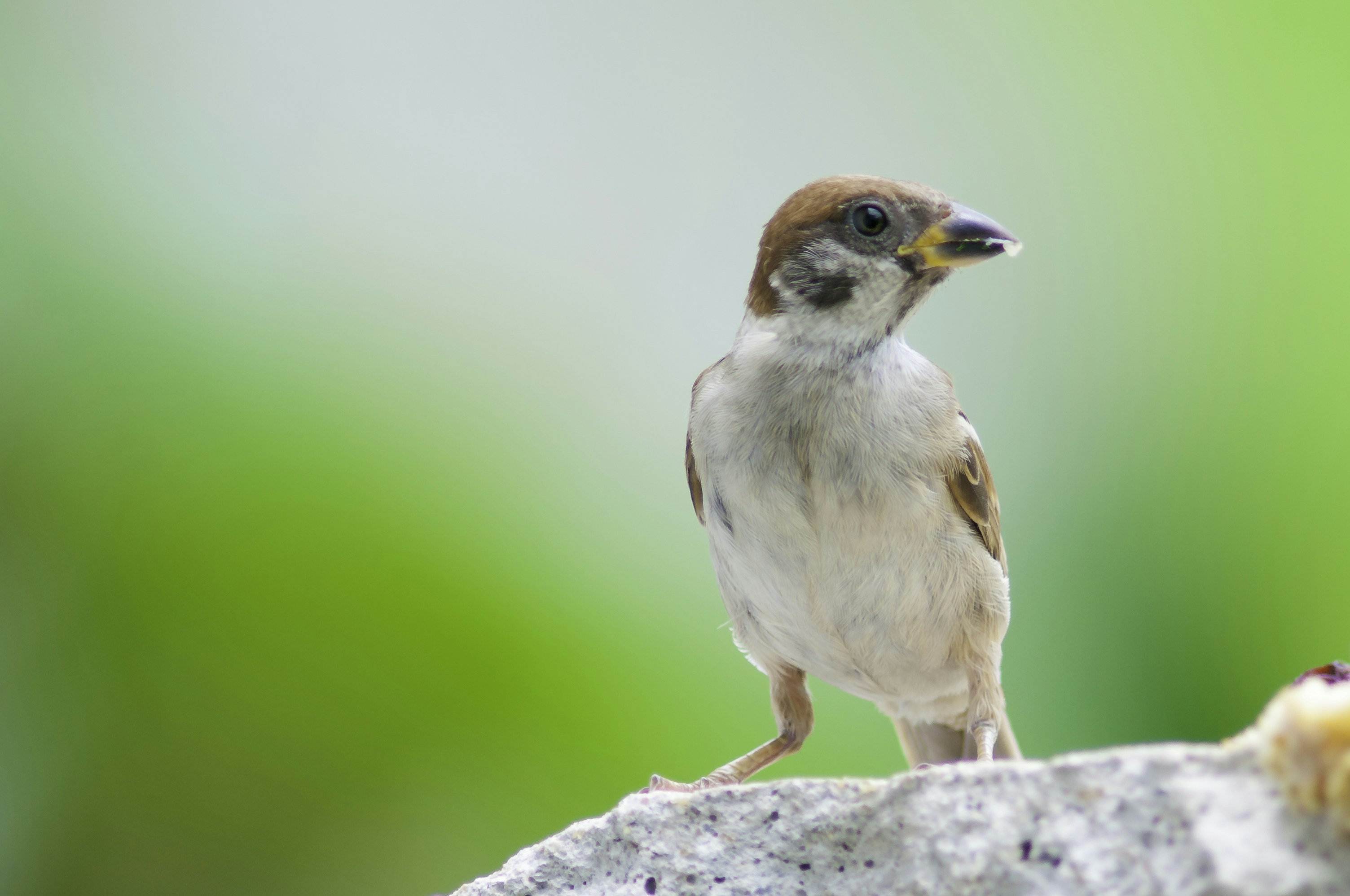 Photo by thom_oxford