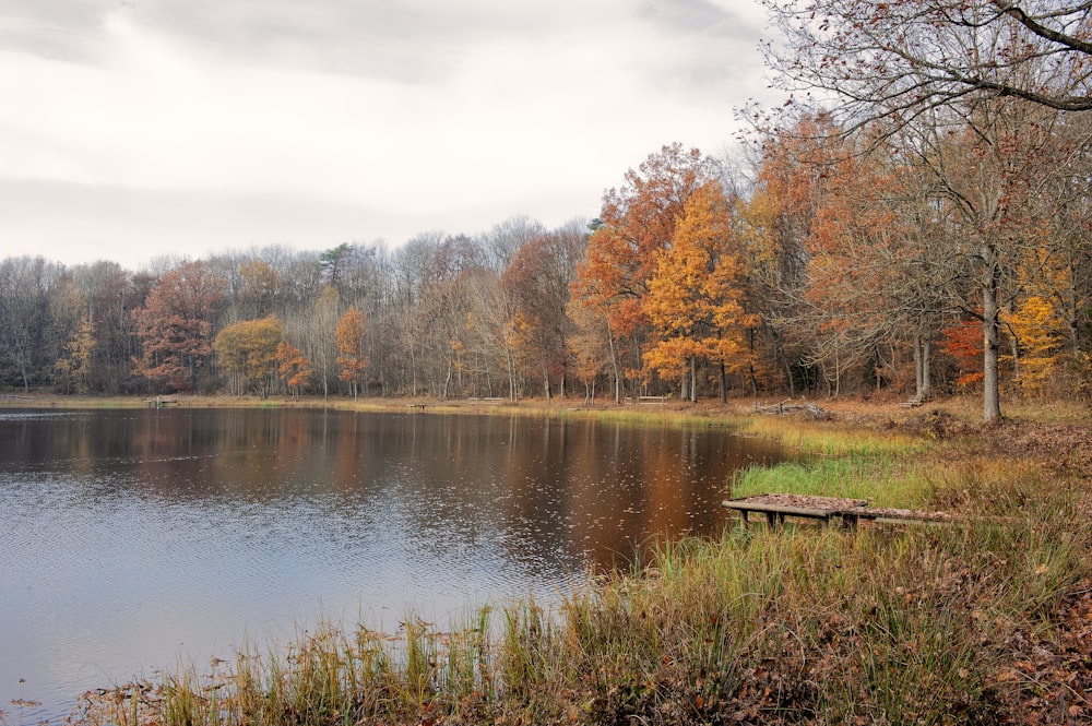 brown wooden bench near lake during daytime