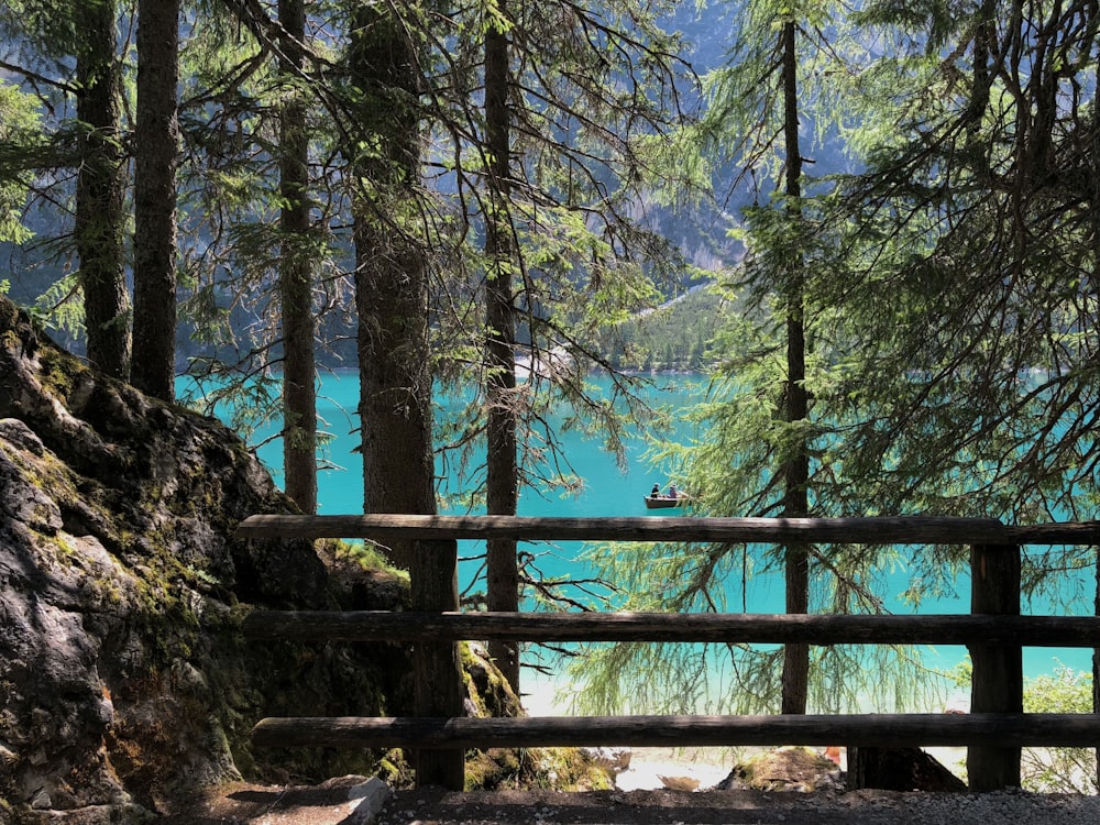 Clôture en bois marron près des arbres verts pendant la journée