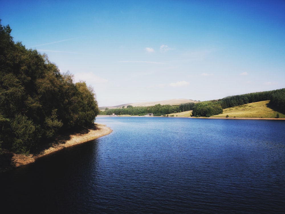 green trees beside river under blue sky during daytime