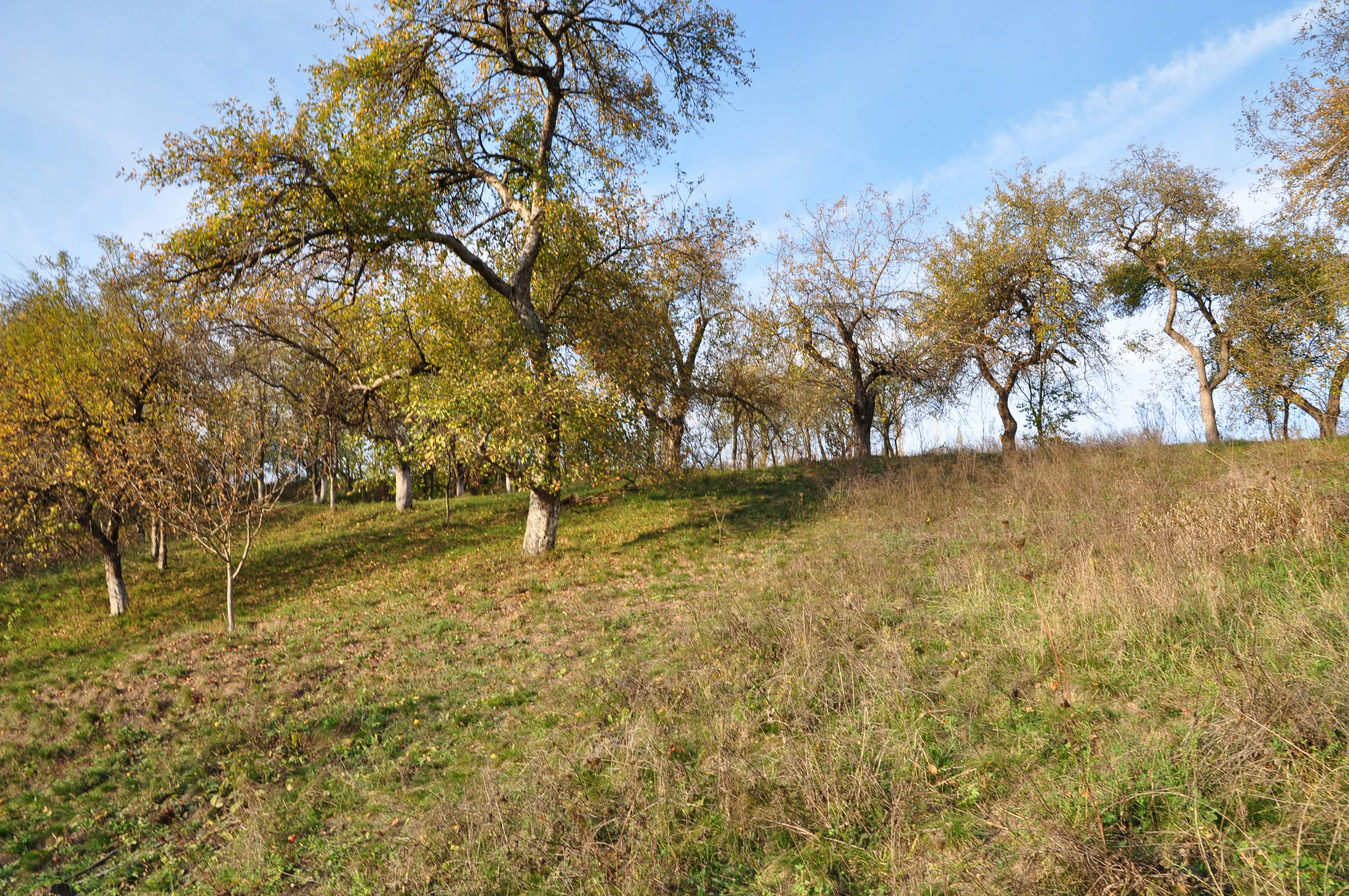 Las Colonias Park