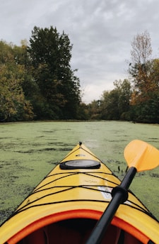 A yellow kayak is pointed forward, floating on a calm, algae-covered body of water surrounded by dense greenery. The sky is overcast, and the kayak paddle is visible on the right side.