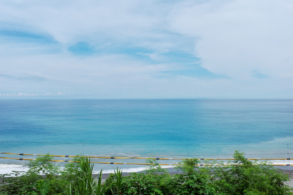 green plants near blue sea under white clouds and blue sky during daytime