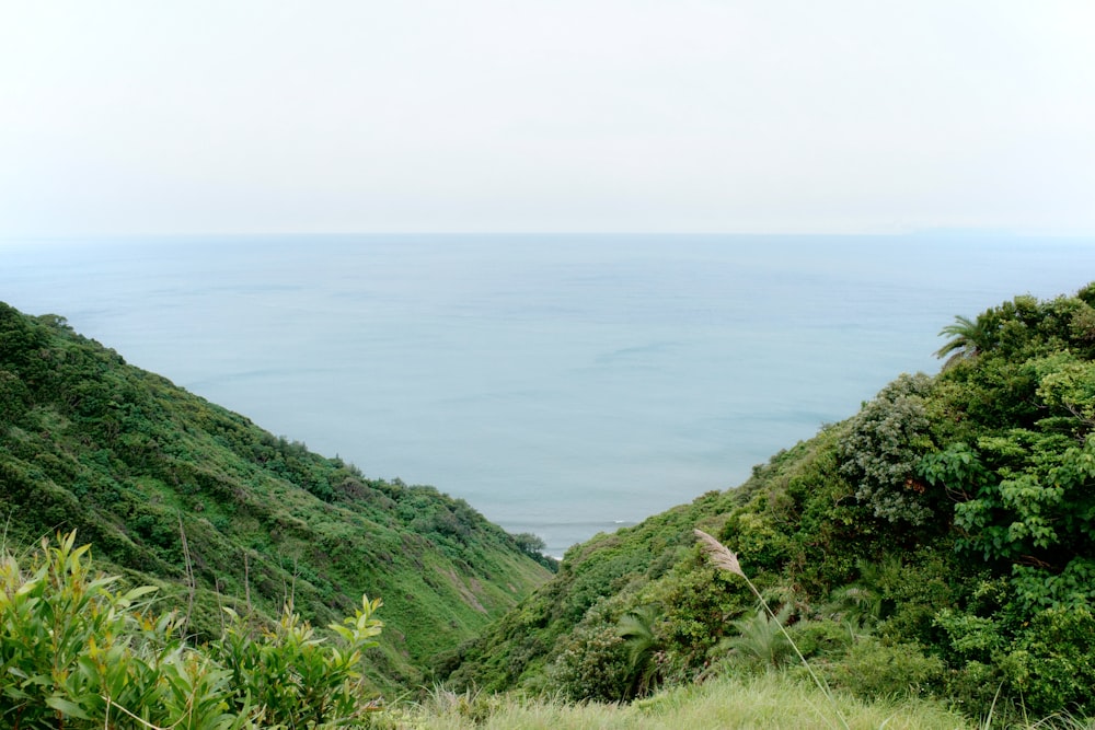 green grass covered mountain near body of water during daytime