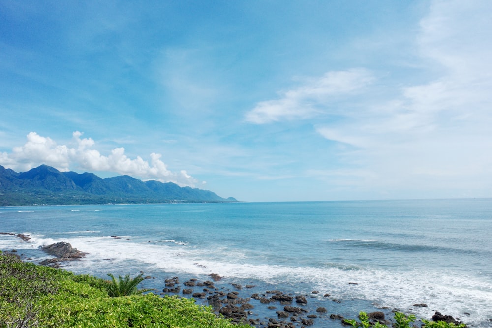 green trees near sea under blue sky during daytime