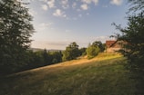 brown house near green grass field under blue sky during daytime
