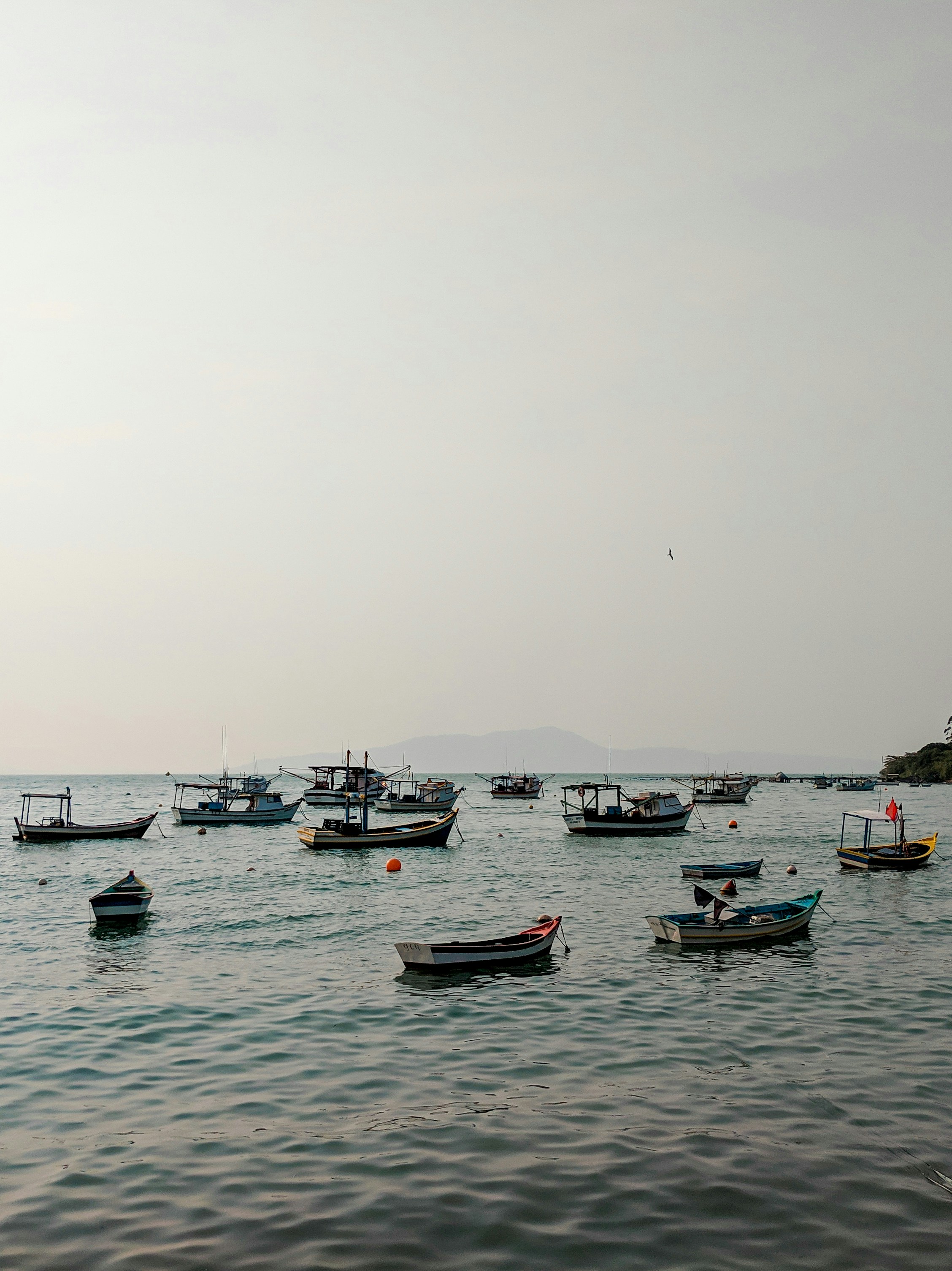 Photo by claitonconto