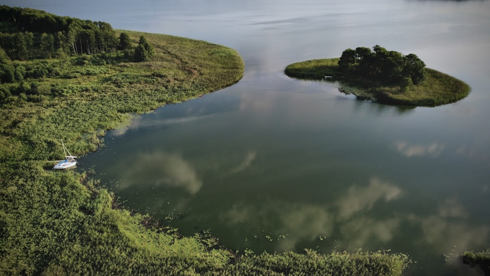 campo di erba verde accanto al fiume durante il giorno