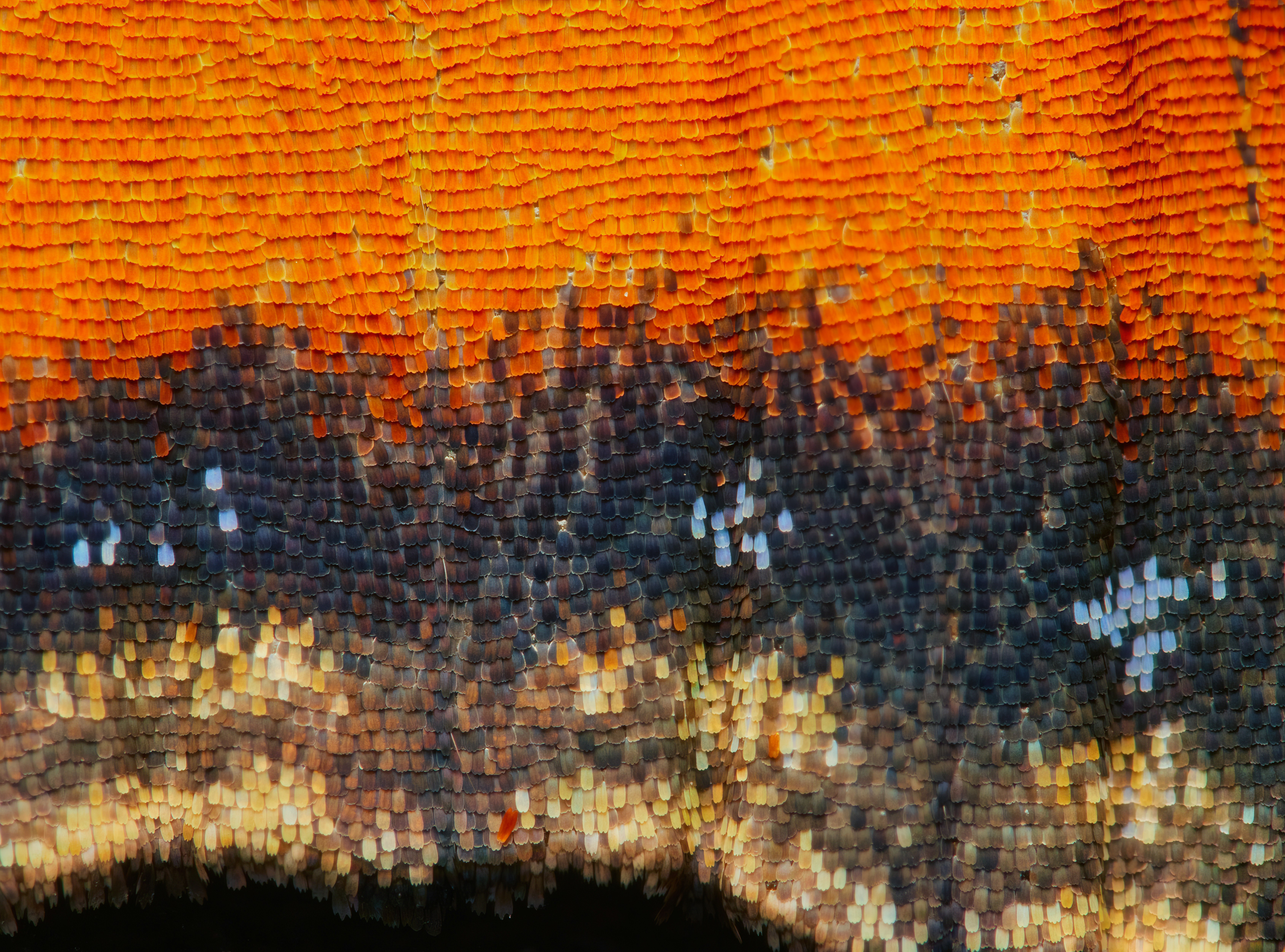 schwarzweißes und braunes Textil