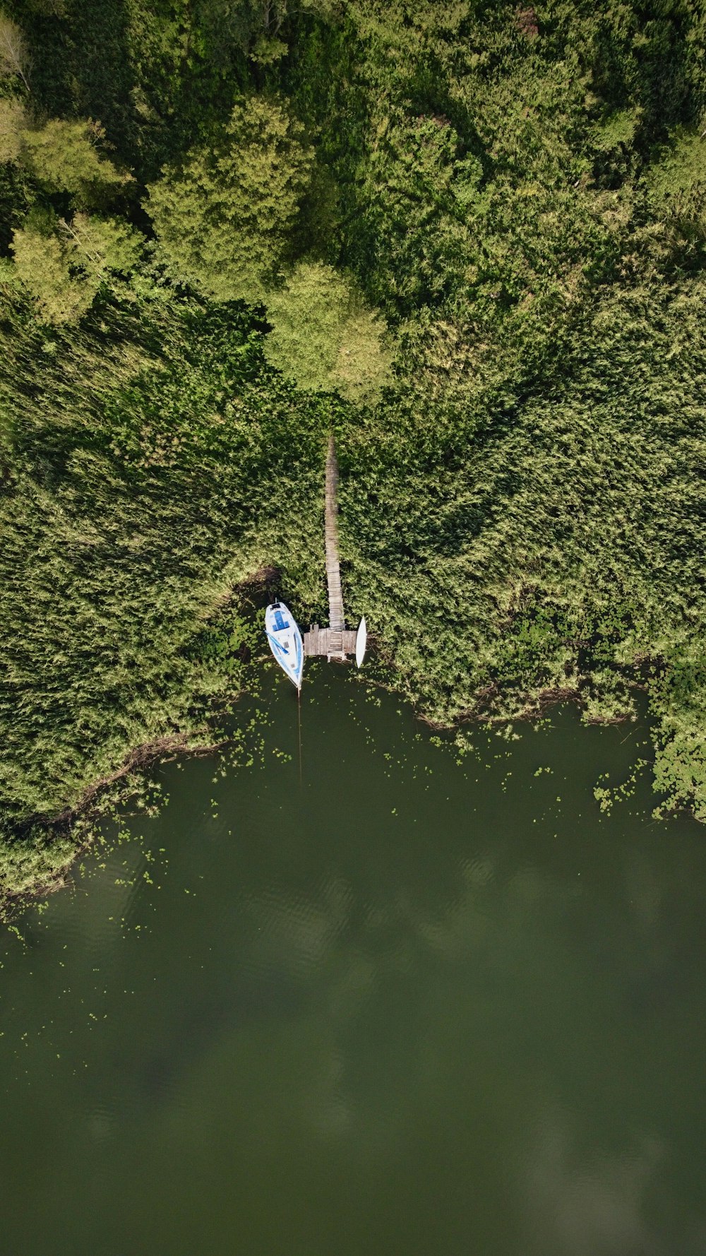 barca bianca e blu sul fiume durante il giorno