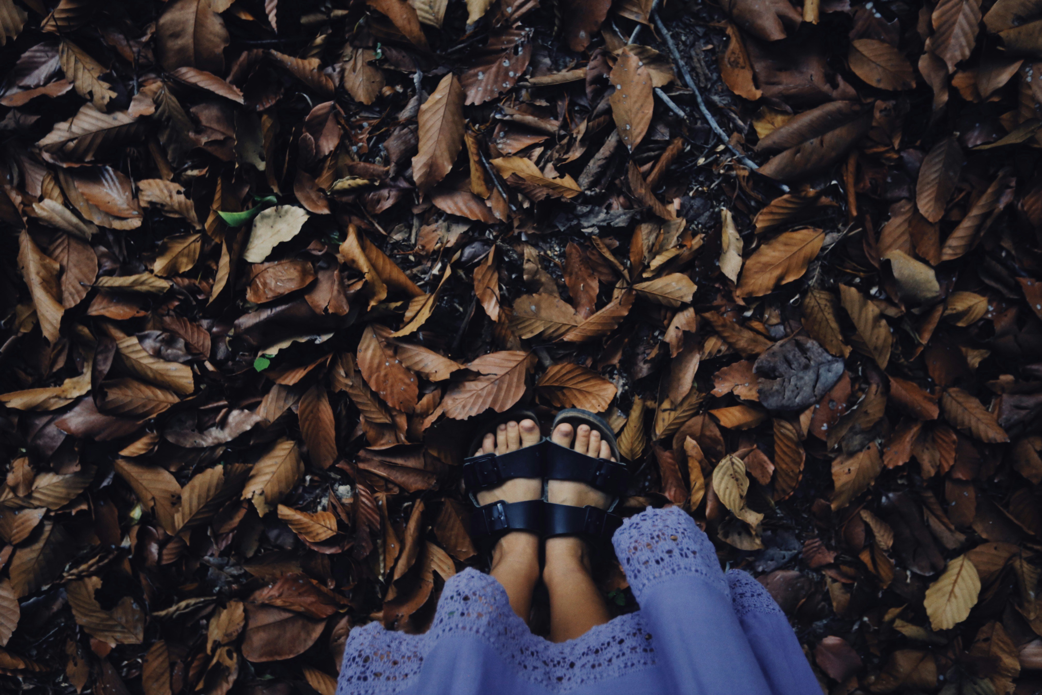 person in blue dress wearing black leather sandals standing on dried leaves