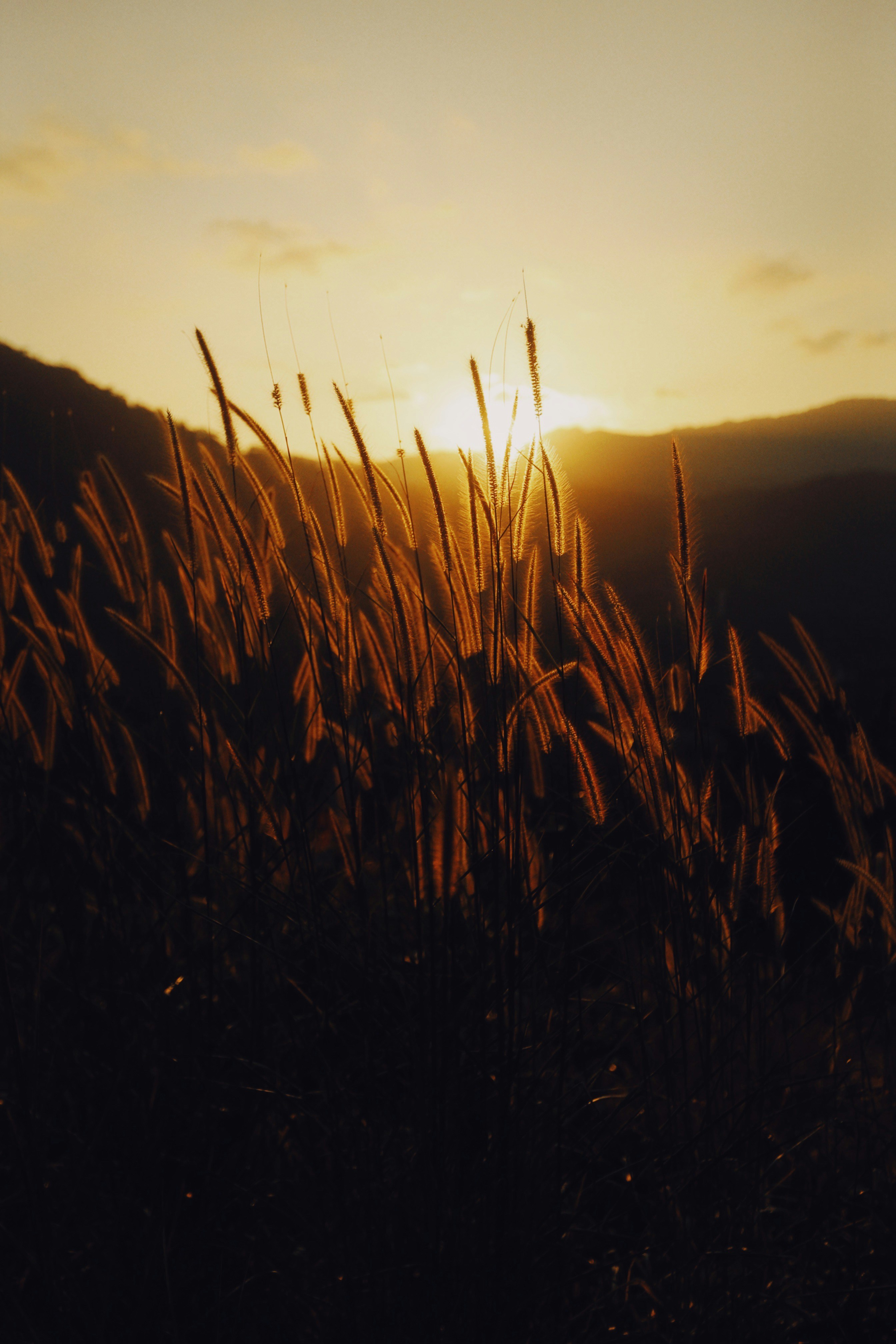 Photo by alexeydemidov