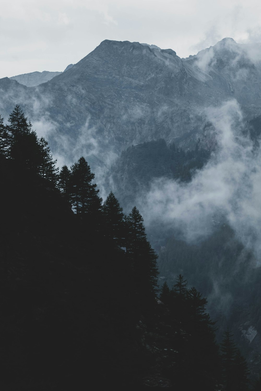 green trees near mountain during daytime