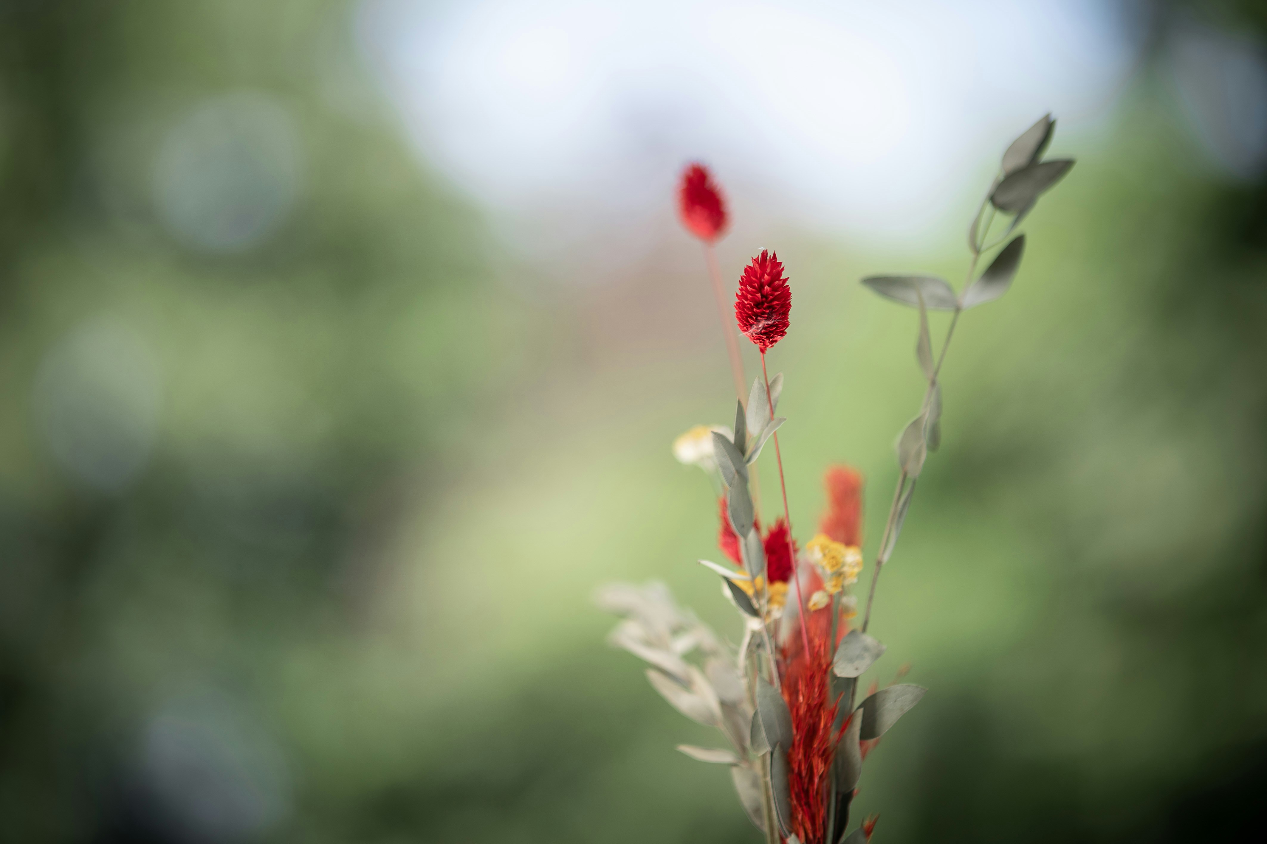 Photo by michaelfousert