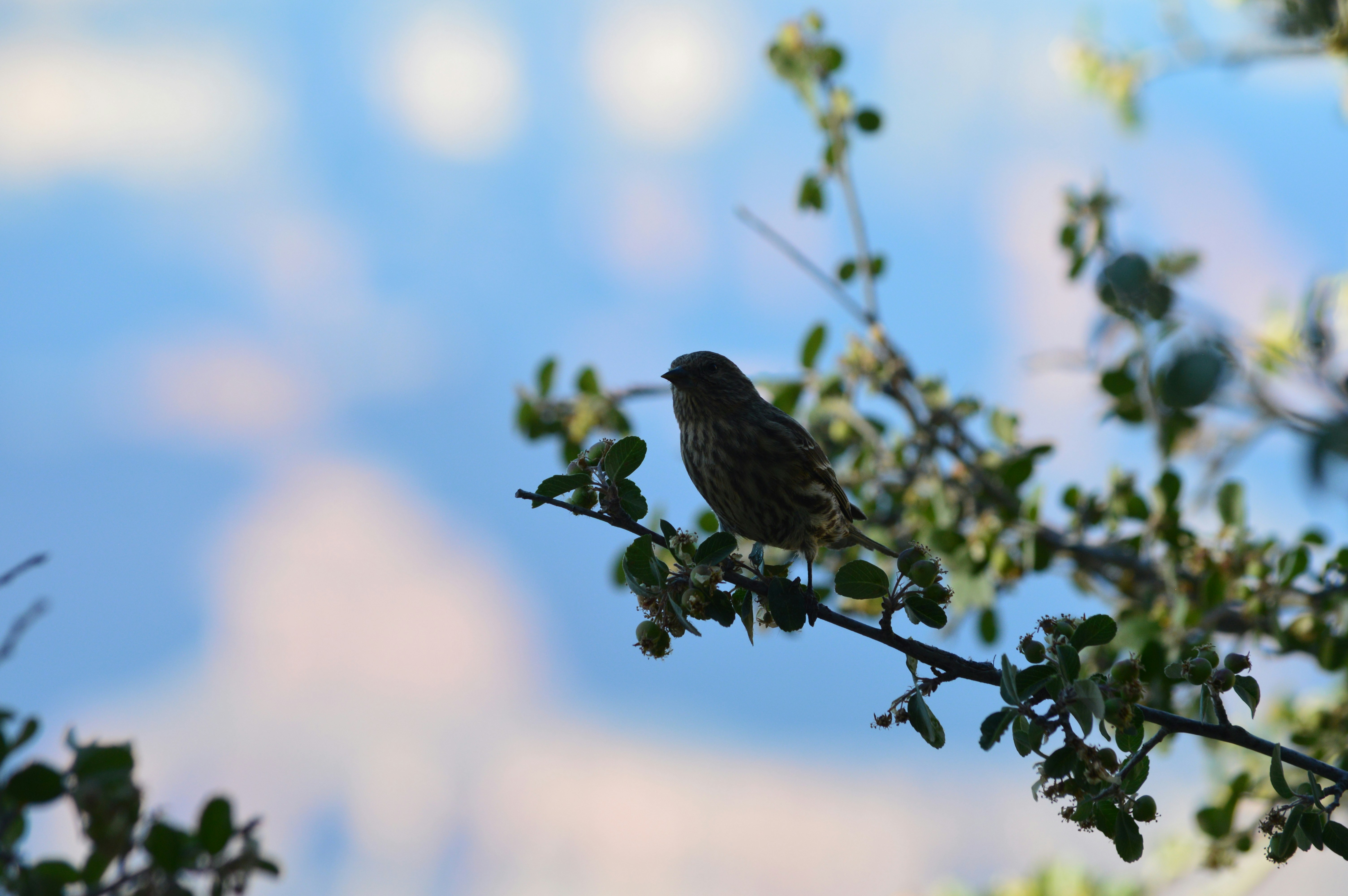 Photo by who_is_trent