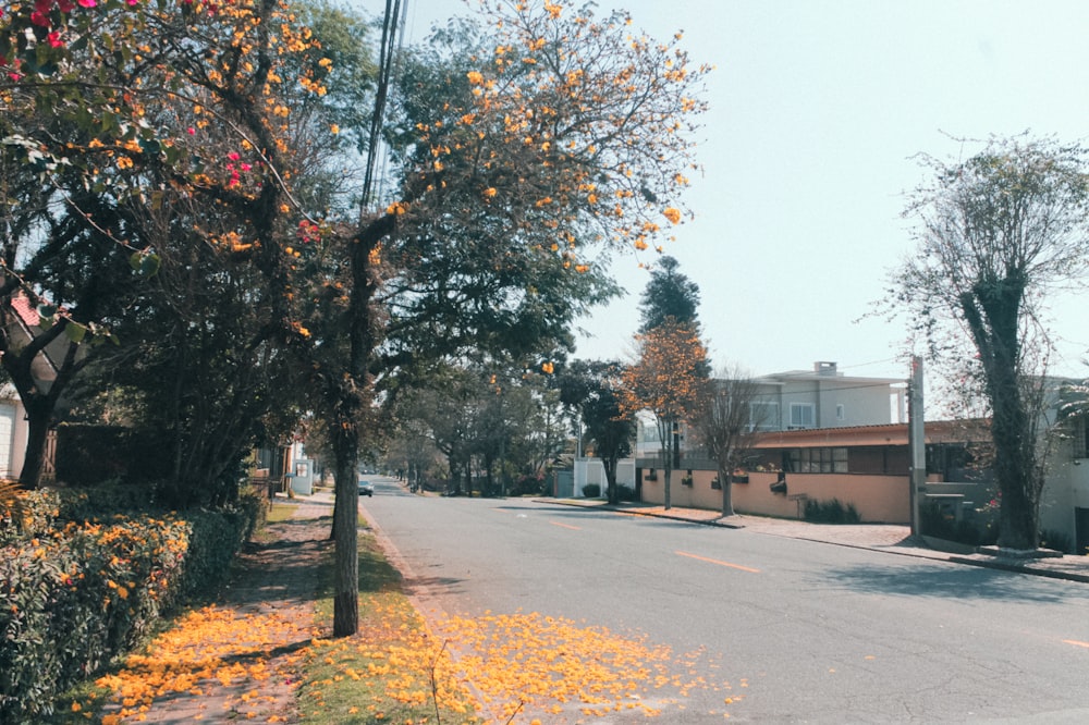 green trees near white concrete building during daytime