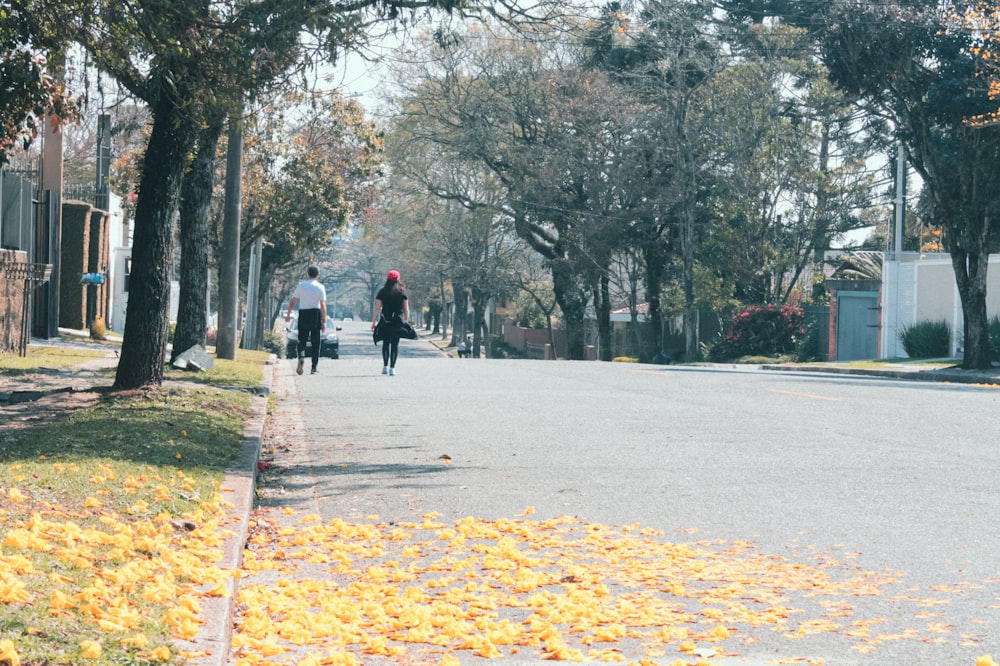 people walking on road with trees on side during daytime