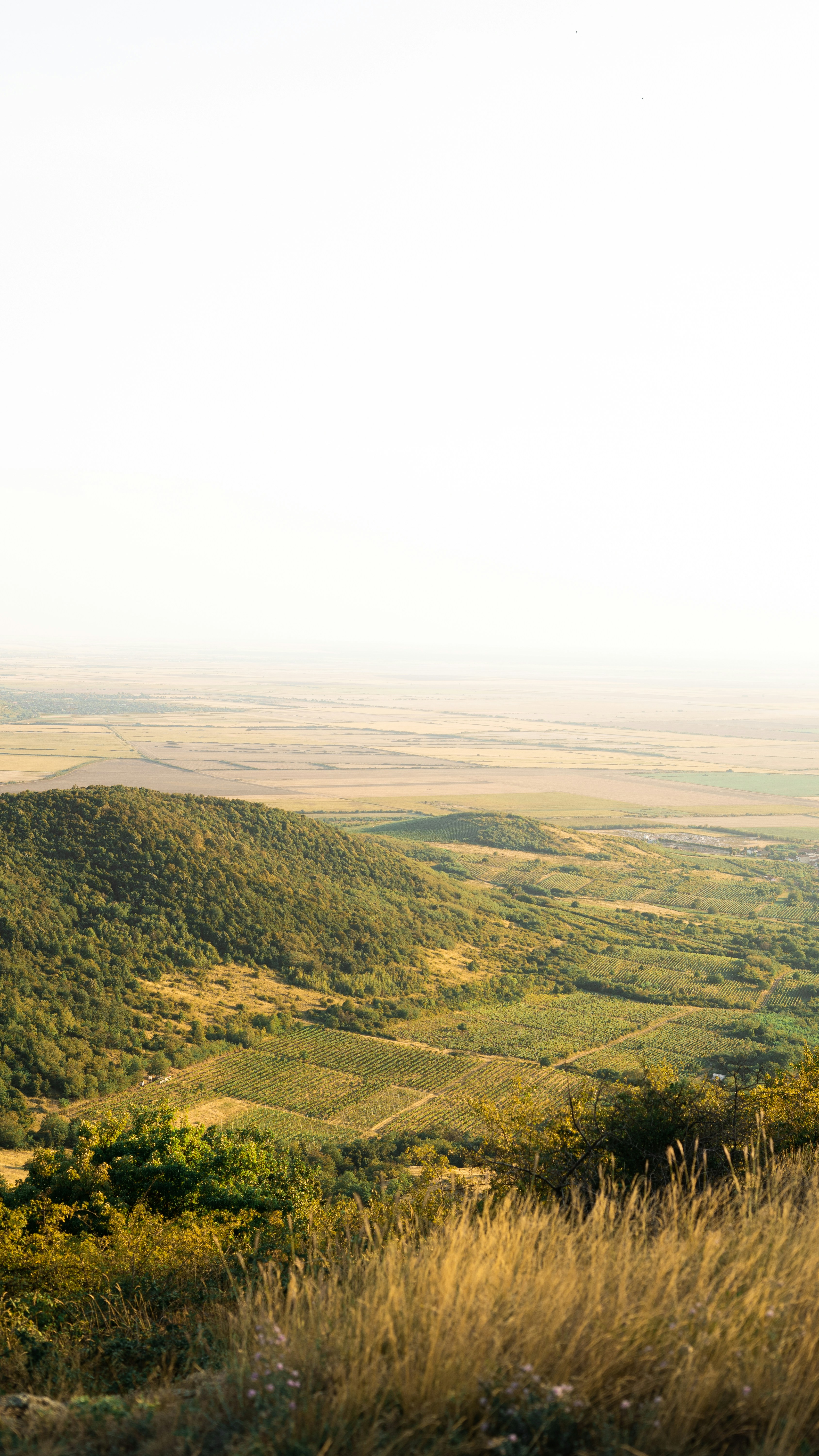 green mountains under white sky during daytime