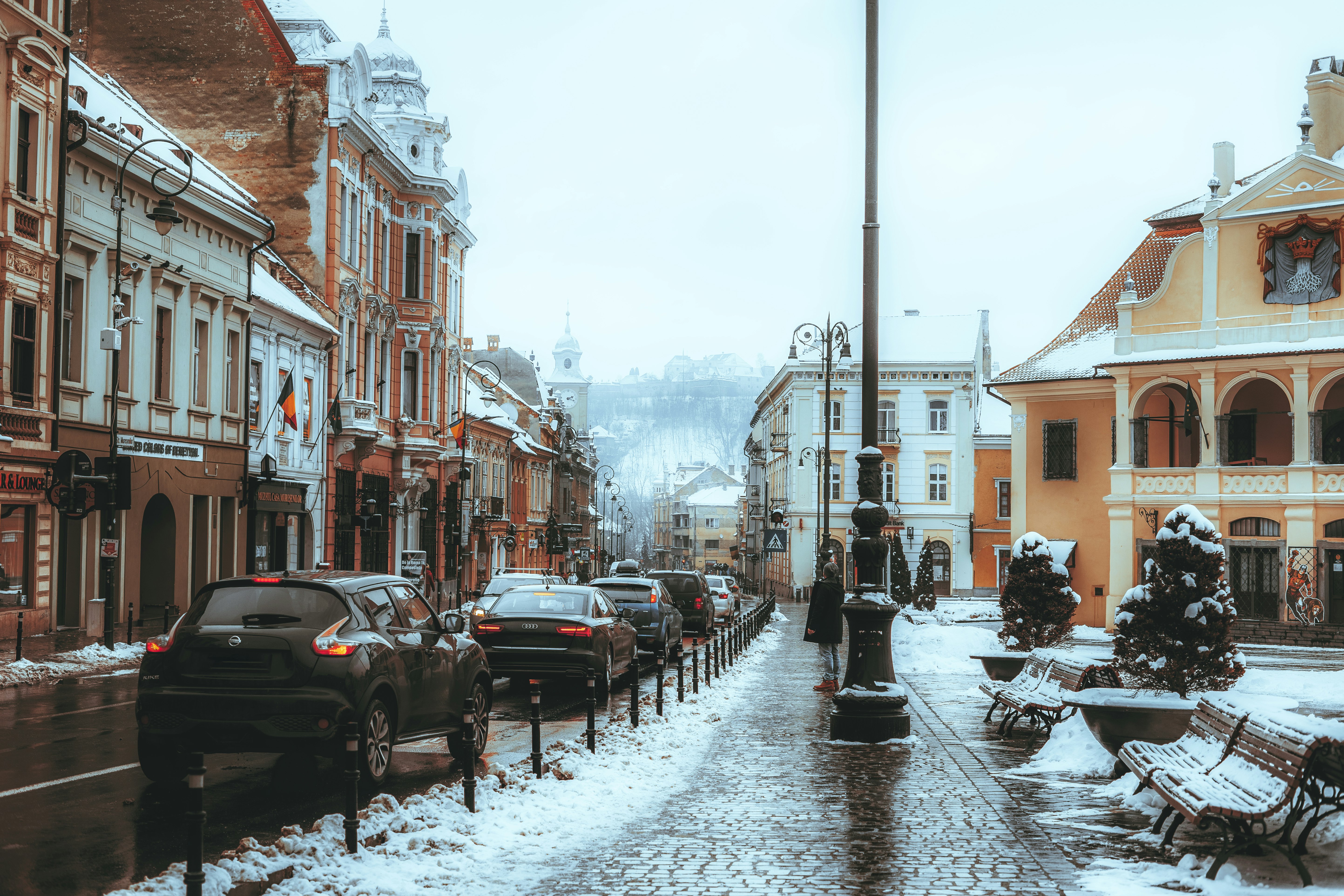 people walking on street during daytime