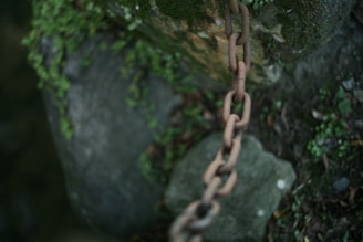 brown metal chain on black rock